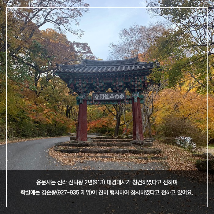 2.농익은 가을, 천년고찰 예천 용문사 함께 걸어요